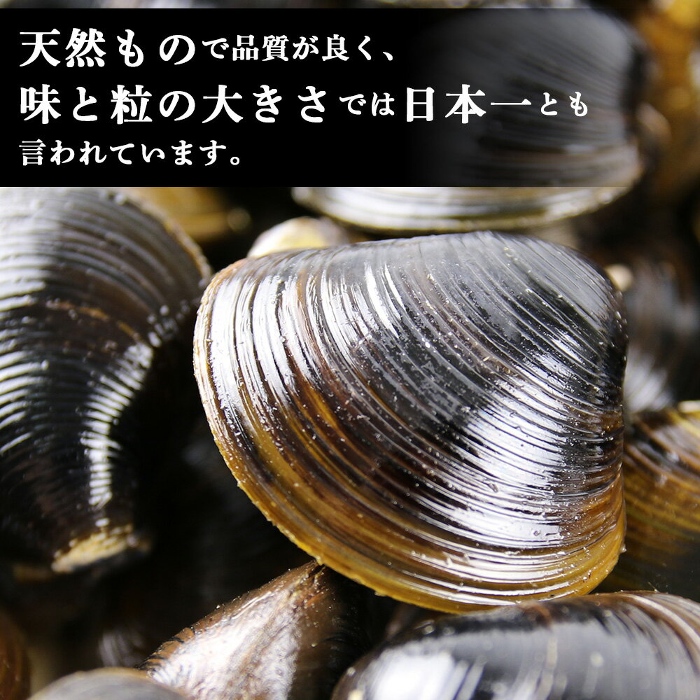 【ふるさと納税】 しじみ 冷凍 天塩町名産冷凍しじみ［特大サイズ］ 選べる1.4kg～2kg 小分け＜北るもい漁業協同組合 天塩支所＞ ふるさと納税 北海道 夏ギフト