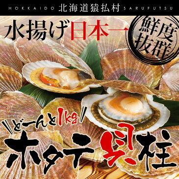 【ふるさと納税】【定期便】北海道猿払産冷凍ホタテ貝柱1キロ（41〜50玉）×6か月【01005】