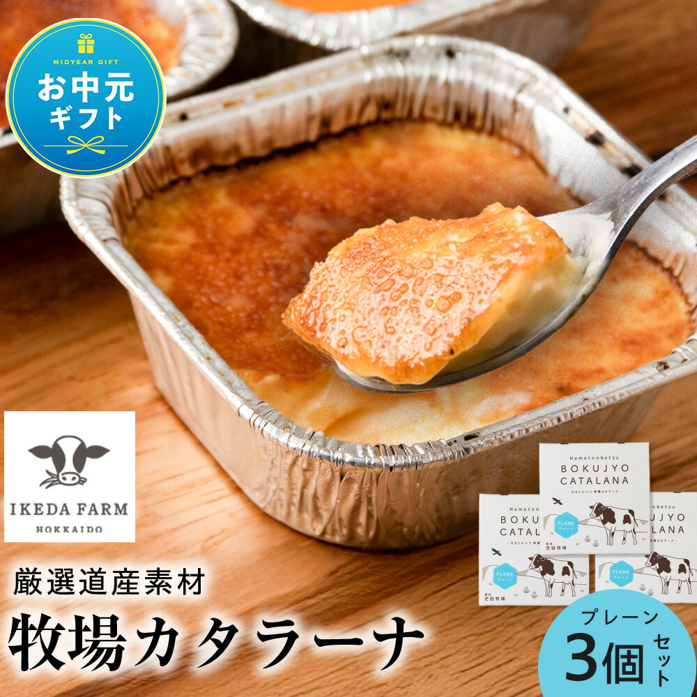【ふるさと納税】【お中元ギフト】北海道 お菓子 カタラーナ プレーン（3個セット）アイス 冷凍 ギフト 箱入り 北海道ふるさと納税 ふ..