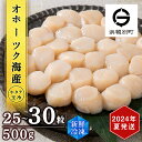 【ふるさと納税】【2024年夏発送】 ホタテ 北海道産 冷凍 貝柱 500g 250g 2個セット 【頓別漁業協同組合】刺身 玉冷 むき身 オホーツク海産 小分け ギフト ほたて 帆立北海道ふるさと納税 ふる…