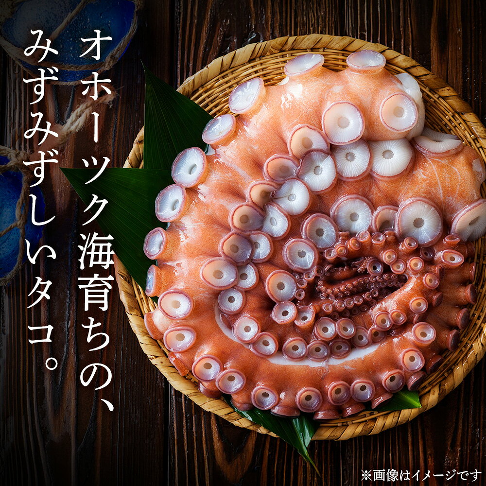 【ふるさと納税】浜頓別町プレミアム　タコ三選（タコ柔らか煮・タコバジル・タコザンギ）【株式会社シーグレイセス】加工品 惣菜 海鮮 北海道ふるさと納税 ふるさと納税 北海道 浜頓別 通販 贈答品 贈り物 f015121-hamatonbetsu-10000262 北海道浜頓別町 サンプル画像2