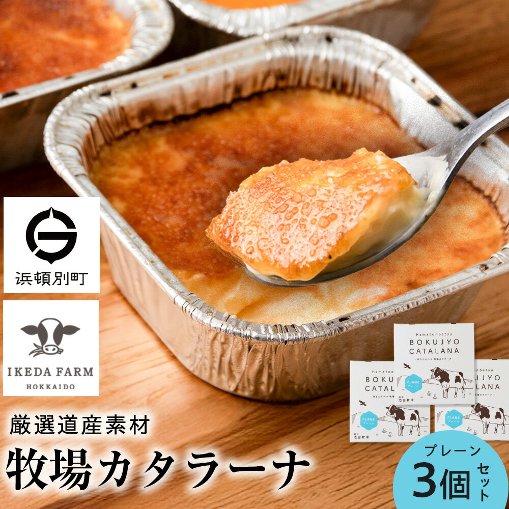 【ふるさと納税】北海道 お菓子 カタラーナ 選べる プレーン（3個セット）アイス 冷凍 ギフト 箱入り 北海道ふるさと納税 ふるさと納税..