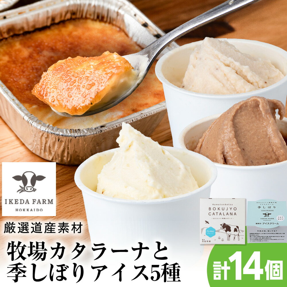 Rakuten - 【ふるさと納税】牧場カタラーナと季しぼりアイス5種セット【池田牧場】アイス 冷凍 ギフト 箱入り 洋菓子 牛乳 生乳 お菓子 スイーツ 北海道ふるさと納税 ふるさと納税 北海道 浜頓別 通販 贈答品 贈り物 夏ギフト