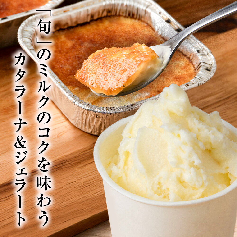 北海道浜頓別町の【ふるさと納税】牧場カタラーナと季しぼりアイス5種セット【池田牧場】アイス 冷凍 ギフト 箱入り 洋菓子 牛乳 生乳 お菓子 スイーツ 北海道ふるさと納税 ふるさと納税 北海道 浜頓別 通販 贈答品 贈り物 夏ギフト｜アングル2