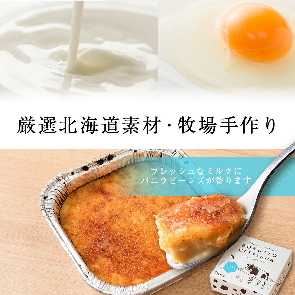 北海道浜頓別町の【ふるさと納税】牧場カタラーナと季しぼりアイス5種セット【池田牧場】アイス 冷凍 ギフト 箱入り 洋菓子 牛乳 生乳 お菓子 スイーツ 北海道ふるさと納税 ふるさと納税 北海道 浜頓別 通販 贈答品 贈り物 夏ギフト｜アングル3