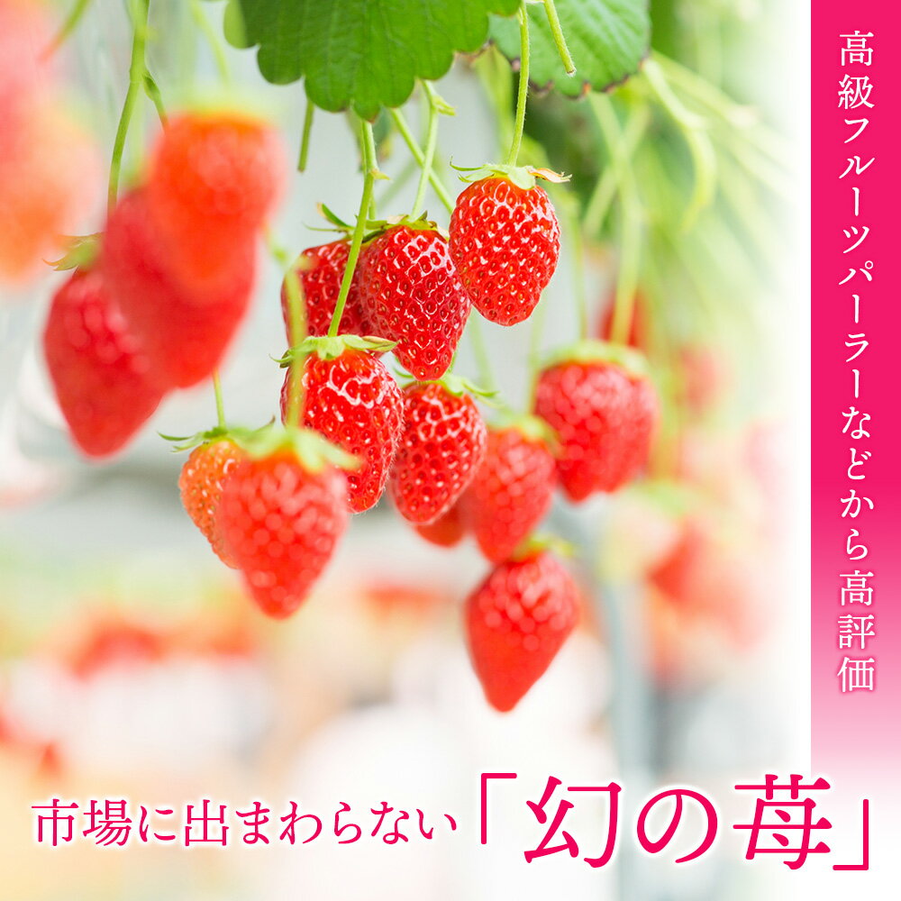【ふるさと納税】 フルーツ 果物 いちご 高設栽培 冷凍 紅カムイ 2kg お菓子作り 希少 苺 イチゴ北海道ふるさと納税 ふるさと納税 北海道 浜頓別 通販 贈答品 贈り物 夏ギフトギフト