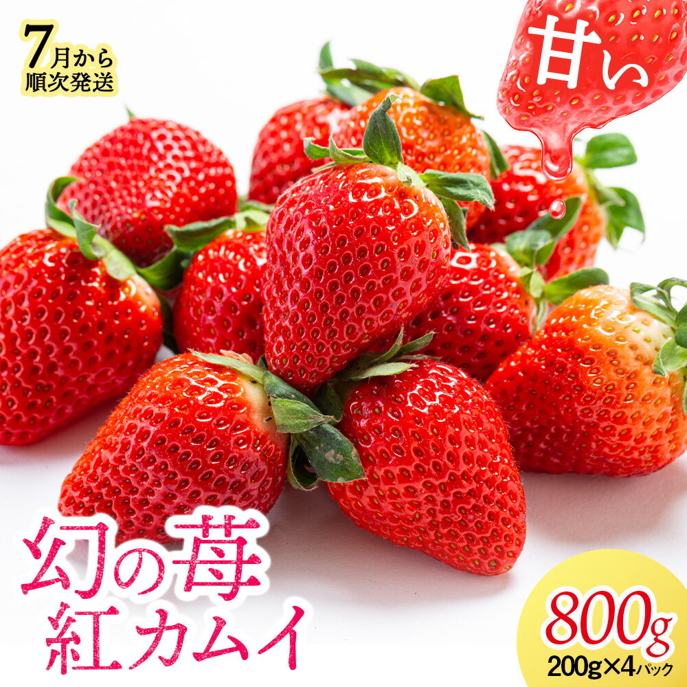 【ふるさと納税】【2024年7月以降発送】 フルーツ 果物 いちご 高設栽培 冷蔵 紅カムイ 800g 200g×4パ...