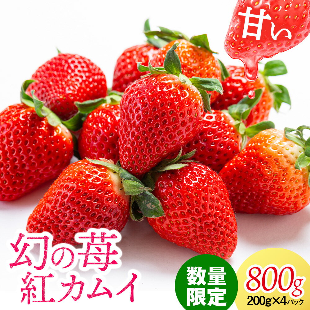 【ふるさと納税】 フルーツ 果物 いちご 高設栽培 冷蔵 紅カムイ 800g 200g×4パッ...