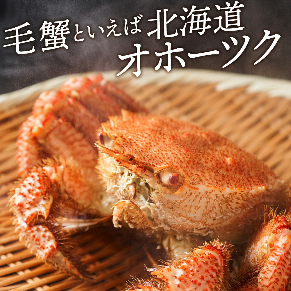 【ふるさと納税】☆北海道産 毛ガニ 約650g×2尾 セット かに 蟹 毛蟹 冷凍 北海道産 浜頓別町北海道ふるさと納税 ふるさと納税 北海道 浜頓別 通販 贈答品 贈り物