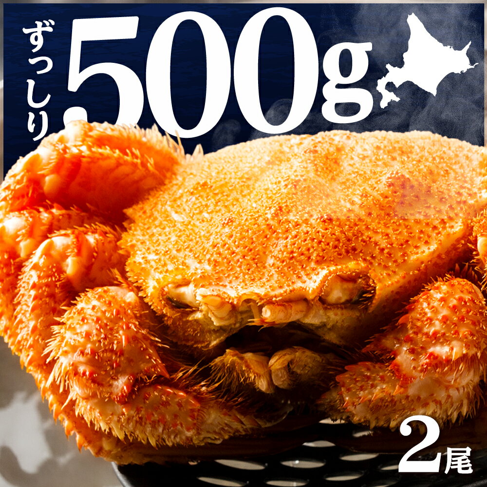 【ふるさと納税】☆北海道産 毛ガニ 約500g×2尾 セット