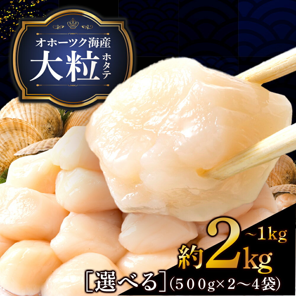 【ふるさと納税】 ほたて 貝柱 大粒 選べる2パック～4パック 冷凍 1パック500g(20〜25粒前後) お取り...