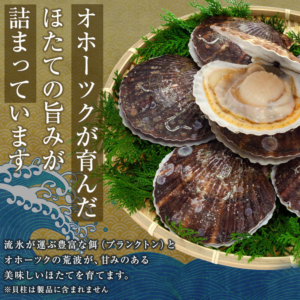 【ふるさと納税】帆立の浜頓煮 選べる3個～5個 1個60g【横田水産】北海道ホタテ 甘露煮 加工品 瓶 惣菜 生姜 甘辛 珍味 肴 おつまみ ひも ヒモ 卵 ほたて 帆立 海鮮 食品 返礼品 北海道 浜頓別