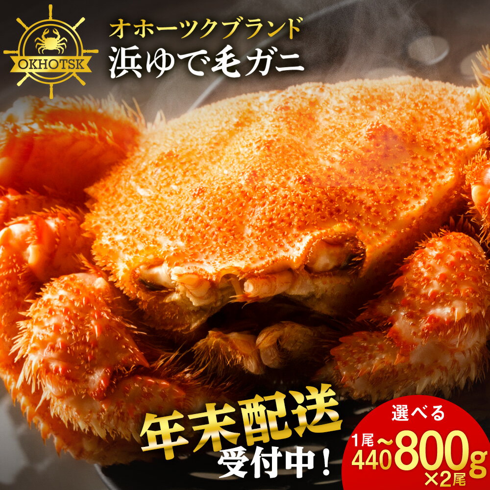 【ふるさと納税】 ☆北海道産 毛ガニ 選べる約440g～800g 2尾セット 計880g～1.6kg かに 蟹 毛蟹 冷凍 北海道産 浜頓別町北海道ふるさと納税 ふるさと納税 北海道 浜頓別 通販 贈答品 贈り物のサムネイル