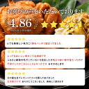北海道浜頓別町の画像3