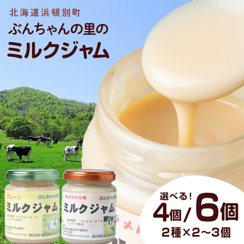 北海道 ぶんちゃんの里 ミルクジャム 選べる4個〜6個セット(プレーン×2〜3個、キャラメル×2〜3個) 手作り 瓶 小分け北海道牛乳 生乳 牛乳 ジャム ミルク 手作りジャム 北海道ふるさと納税 ふるさと納税 北海道 浜頓別 通販 贈答品 贈り物