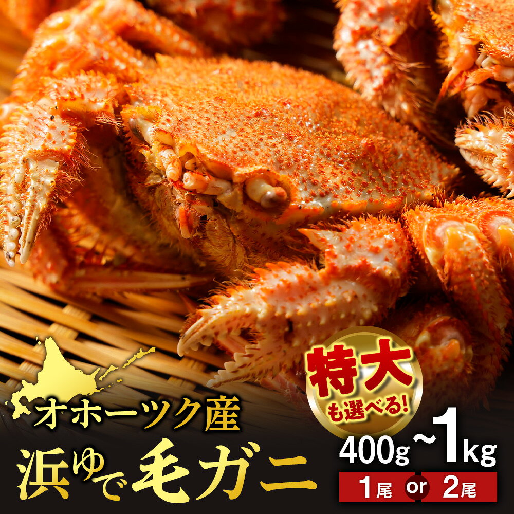 【ふるさと納税】浜頓別産 ボイル毛蟹 選べる1尾〜2尾 (1尾400g〜1kg) 《品田水産》 毛蟹 ボイル 浜茹で 冷凍 カニ 毛ガニ 蟹 ケガニ 北海道ふるさと納税 ふるさと納税 北海道 浜頓別 通販 贈答品 贈り物