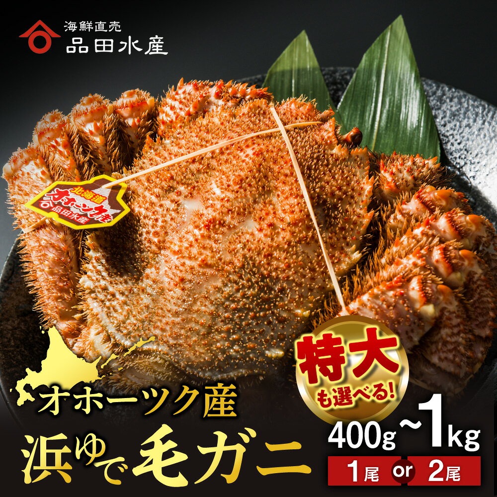 浜頓別産 ボイル毛蟹 選べる1尾〜2尾 (1尾400g〜1kg) 《品田水産》 毛蟹 ボイル 浜茹で 冷凍 カニ 毛ガニ 蟹 ケガニ 北海道ふるさと納税 ふるさと納税 北海道 浜頓別 通販 贈答品 贈り物