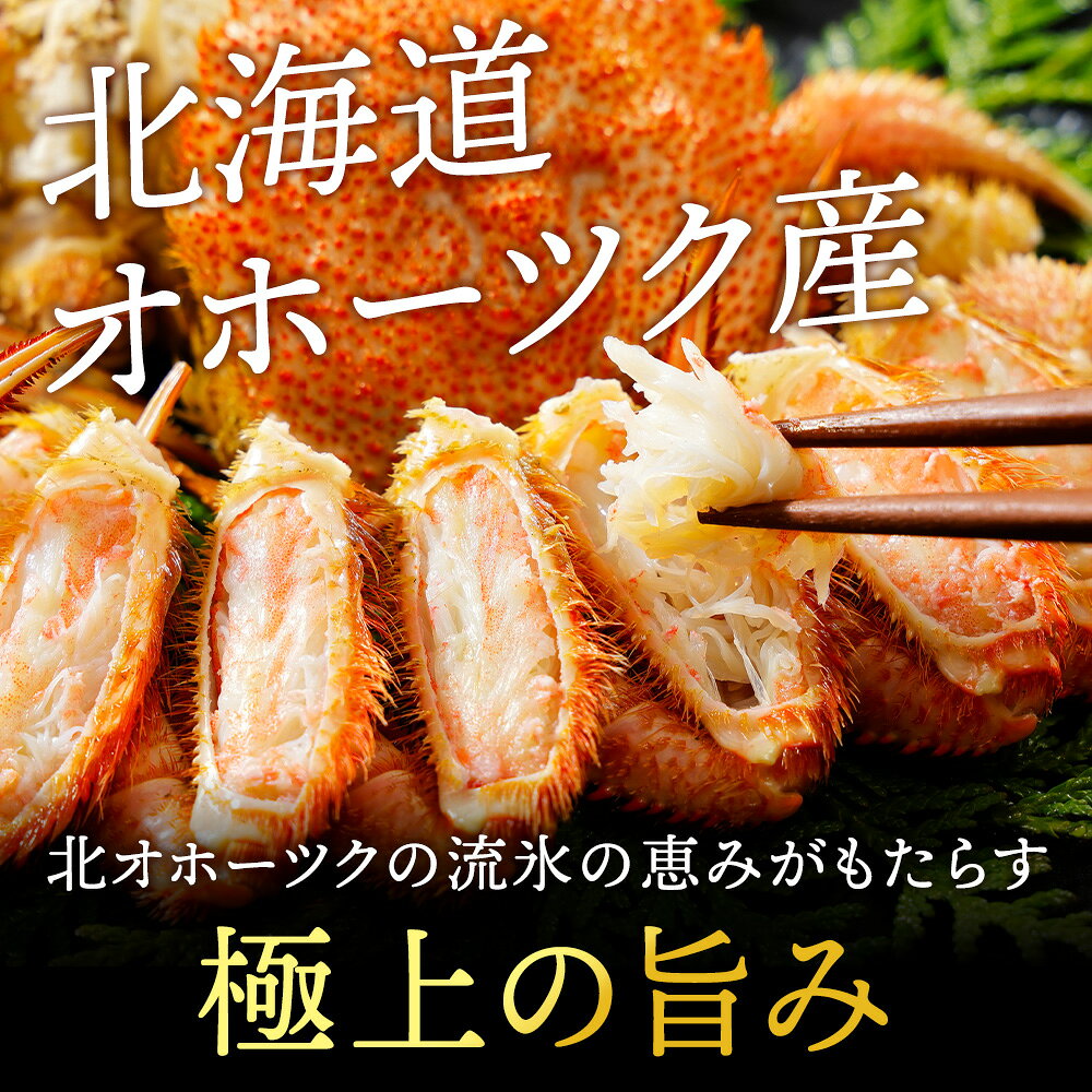 【ふるさと納税】浜頓別産 ボイル毛蟹 選べる1尾〜2尾 (1尾400g〜1kg) 《品田水産》 毛蟹 ボイル 浜茹で 冷凍 カニ 毛ガニ 蟹 ケガニ 北海道ふるさと納税 ふるさと納税 北海道 浜頓別 通販 贈答品 贈り物