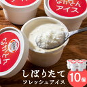 【ふるさと納税】アイス セット アイスクリーム 10個 ギフト スイーツアイス アイスクリーム 洋菓子 お菓子 スイーツ 牛乳 北海道牛乳 ふるさと納税 北海道...