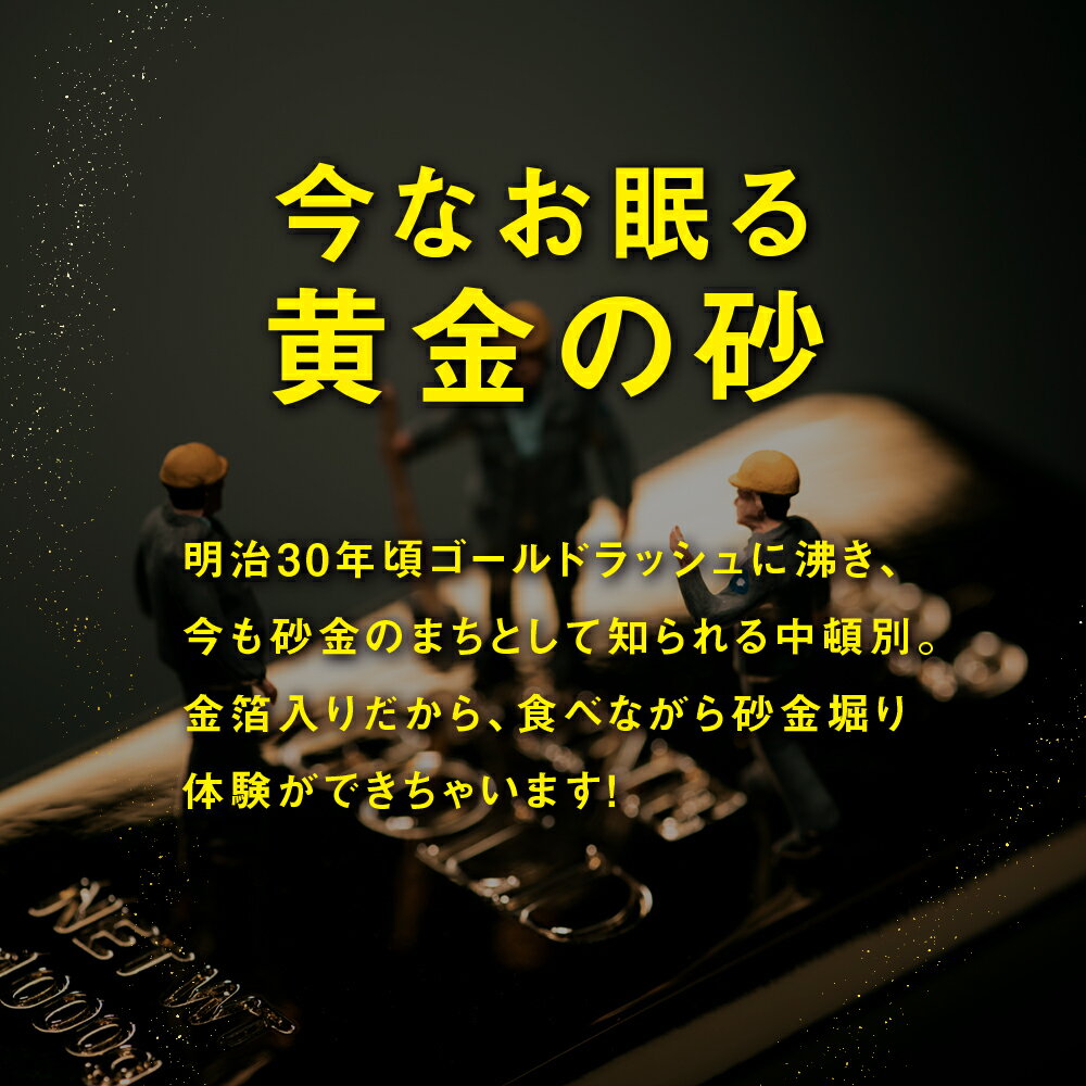 【ふるさと納税】 砂金ラーメン 塩 1食×3 金箔入り 黒い麺 竹炭【中頓別限定】北海道ラーメン 塩らーめん 塩ラーメン 乾麺 インスタント麺 金箔 黒麺 ふるさと納税 北海道 中頓別町