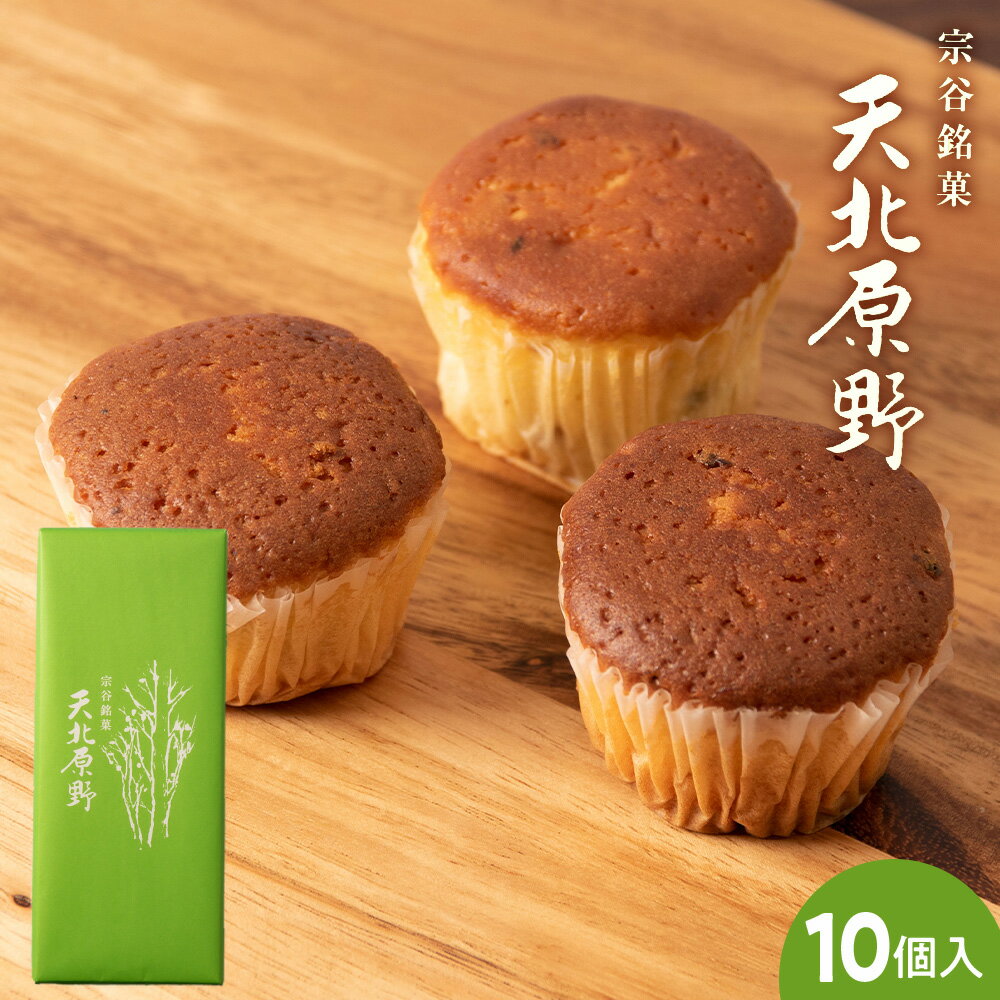 11位! 口コミ数「0件」評価「0」 天北原野 10個入天北原野 焼き菓子 ラムレーズン 洋菓子 お菓子 スイーツ 名菓 ふるさと納税 北海道 中頓別町