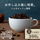 【ふるさと納税】【定期便12ヶ月】 コーヒー イルガチェフェ(豆) 300g 自家焙煎珈琲 シングル ギフト ヤマフクコーヒー 北海道 中頓別コーヒー コーヒー...