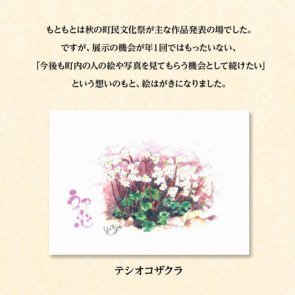 【ふるさと納税】 絵葉書 はがき オリジナル 5枚 ハガキ 可愛い ギフト 花 植物ポストカード セット 絵はがき 挨拶 手紙 ふるさと納税 北海道 中頓別町