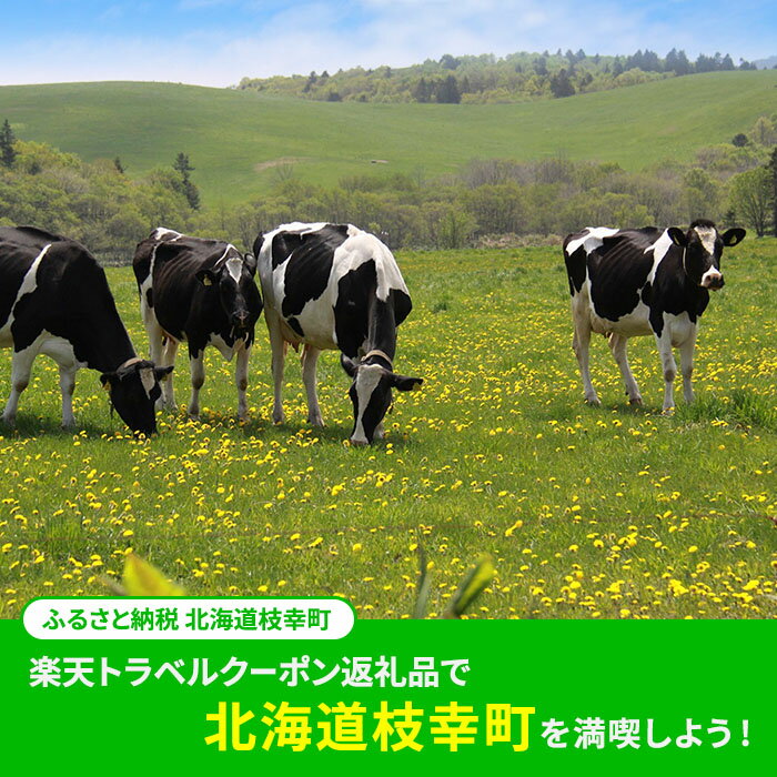 【ふるさと納税】【ふるさと納税】北海道枝幸町の対象施設で使える 楽天トラベルクーポン 寄付額27,000円(クーポン8,000円)　【高級宿・宿泊券・旅行・ホテル・宿泊券・チケット・入場券・優待券】