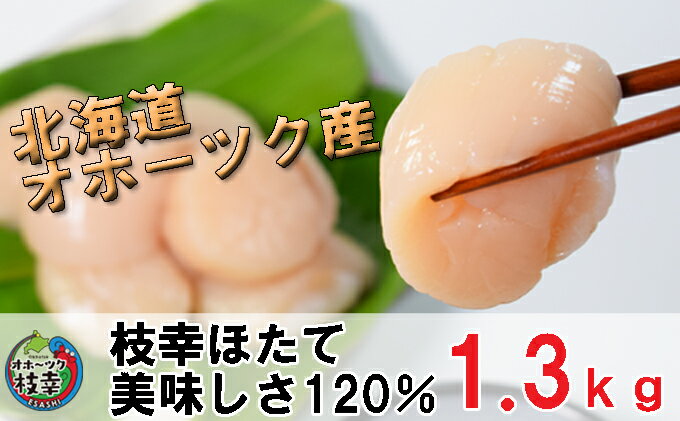 【ふるさと納税】冷凍ほたて貝柱1.3kg(50〜110粒/kg)【枝幸ほたて】海洋食品 刺身 魚介 北海道 オホーツク 帆立【新型コロナ被害支援】　【加工食品・魚貝類・帆立・ほたて・北海道・オホーツク産】