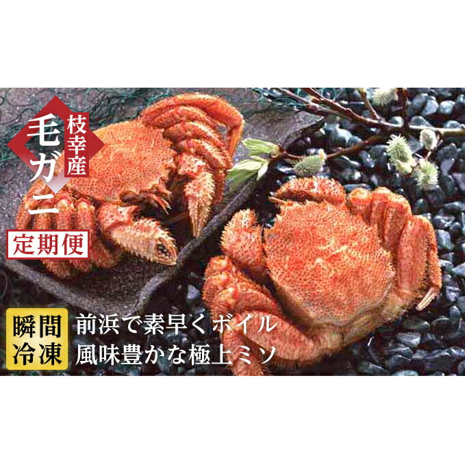 【ふるさと納税】2ヶ月毎【3回定期便】冷凍ボイル毛がに570g×1尾 オホーツク枝幸産（-196℃液体窒素瞬間凍結品）マルタカ高田商店　【定期便・ 毛カニ 蟹 冷凍 ボイル 毛がに 1尾 オホーツク枝幸産 濃厚 ミソ 瞬間冷凍 】