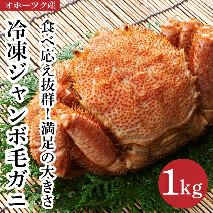 【ふるさと納税】食べ応え抜群！冷凍ジャンボ毛ガニ1kg オホーツク産　【毛カニ・蟹】