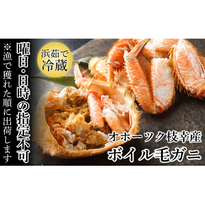 オホーツク枝幸産 マル夢の毛ガニ 約500g～550g 2尾【日時・曜日指定不可】毛カニ 蟹 お届け：2024年3月20日～2024年4月上旬まで※日時指定不可