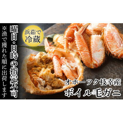 オホーツク枝幸産 マル夢の毛ガニ 約500g～550g 2尾【日時・曜日指定不可】　【毛カニ・蟹】　お届け：2024年3月20日～2024年4月上旬まで※日時指定不可