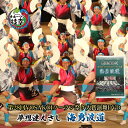 【ふるさと納税】夢想漣えさし「海勇波道」第28回YOSAKOIソーラン祭り大賞演舞DVD本