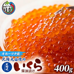 【ふるさと納税】北隆丸自慢のいくら醤油漬け400g オホーツク枝幸産　【魚貝類・いくら・魚卵】