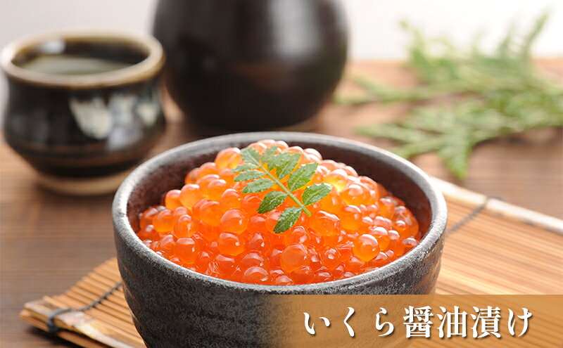 【ふるさと納税】オホーツク枝幸の恵 高田商店 6種の海鮮 工場長セット 【 魚貝類 ...