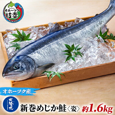 北隆丸 新巻めじか鮭[姿]約1.6kg オホーツク枝幸産 [魚貝類・サーモン・鮭]