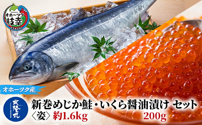 【ふるさと納税】北隆丸 新巻めじか鮭〈姿〉約1.6kg・いくら醤油漬け200gセット オホーツク枝幸産　【魚貝類・サーモン・鮭・魚貝類・いくら・魚卵】