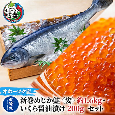 北隆丸 新巻めじか鮭[姿]約1.6kg・いくら醤油漬け200gセット オホーツク枝幸産 [魚貝類・サーモン・鮭・魚貝類・いくら・魚卵]