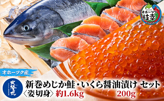 【ふるさと納税】北隆丸 新巻めじか鮭〈姿切身〉約1.6kg・いくら醤油漬け200gセット オホーツク枝幸産　【魚貝類・サーモン・鮭・魚貝類・いくら・魚卵】