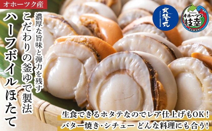 【ふるさと納税】冷凍ハーフボイルほたて500g（15～17粒）オホーツク産　【魚貝類・帆立・ホタテ】