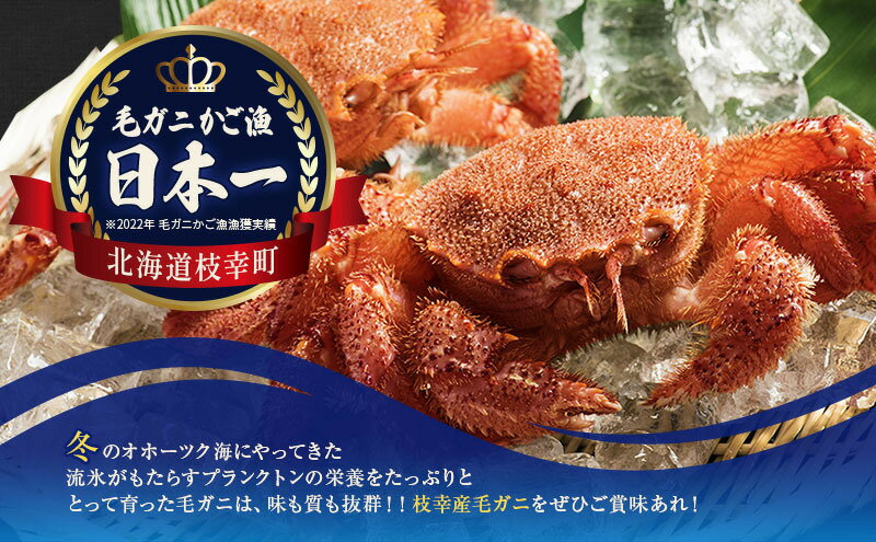 【北海道枝幸町】