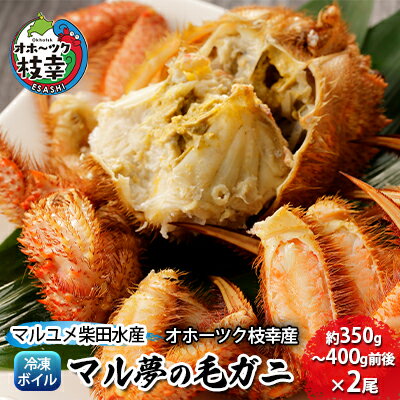 マル夢の毛ガニ約350g～400g前後×2尾【冷凍ボイル】オホーツク枝幸産毛カニ 蟹