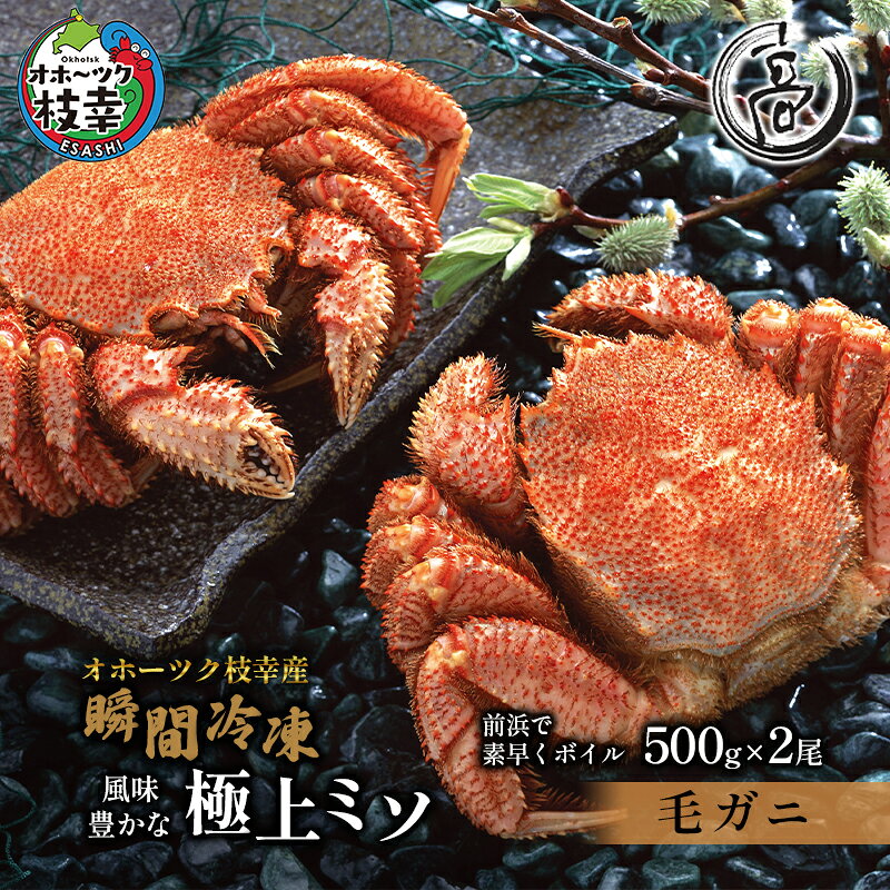 オホーツク枝幸産 毛ガニ500g×2尾（-196℃液体窒素瞬間凍結品）高田商店 【 毛カニ 蟹 かに カニ 北海道 】