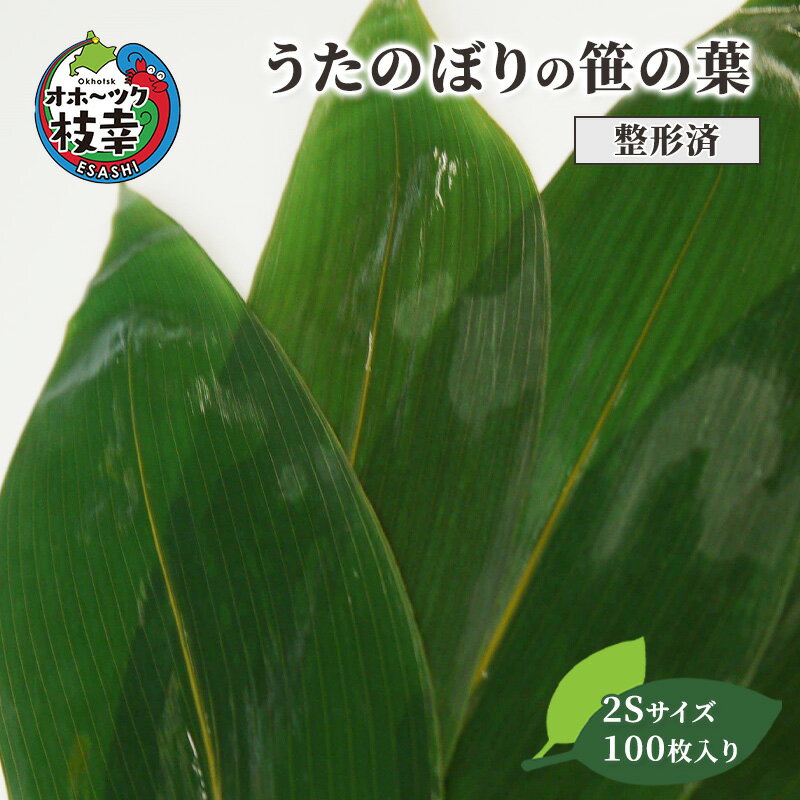 [整形済]うたのぼりの笹の葉2Sサイズ100枚入り[オホーツク枝幸]19.5cm×6cm [雑貨・日用品・福祉用品]