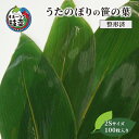 ［整形済］うたのぼりの笹の葉2Sサイズ100枚入り19.5cm×6cm　