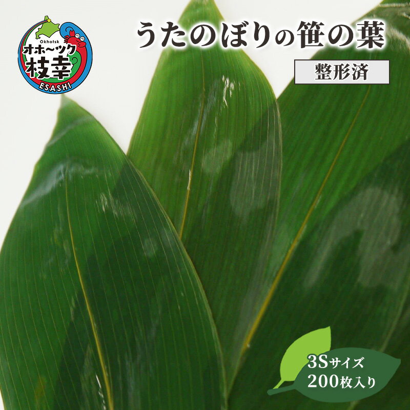 [整形済]うたのぼりの笹の葉3Sサイズ200枚入り[オホーツク枝幸]18cm×5.5cm雑貨 日用品 福祉用品