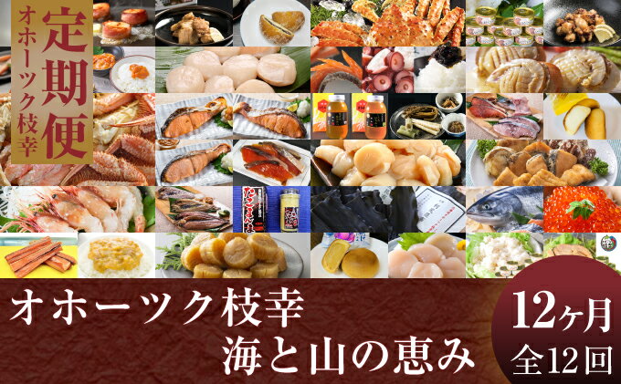 【ふるさと納税】オホーツク枝幸 海と山の恵み【全12回定期便】　【定期便・魚貝類・帆立・ホタテ・毛カニ・蟹・魚貝類・いくら・魚卵】