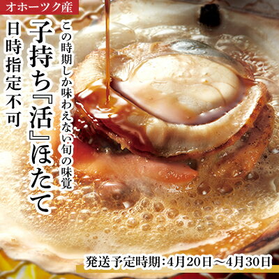 【ふるさと納税】【2022年4月発送限定・日時指定不可】先行予約『子持ち活ほたて』10kg（50〜70枚）オホーツク産　【魚貝類・帆立・ホタテ・子持ち・BBQ】　お届け：2022年4月20日〜2022年4月30日のサムネイル