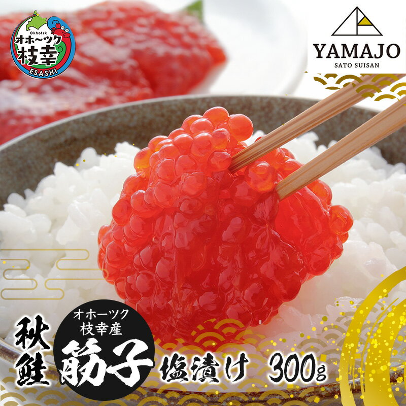 オホーツク枝幸産 秋鮭 筋子300g[塩漬け]山上佐藤水産 [ 魚貝類 いくら 魚卵 北海道 オホーツク 枝幸 ]